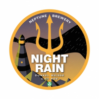 Пиво Night Rain