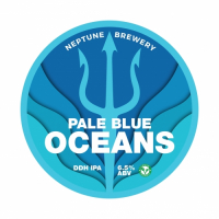 Пиво Pale Blue Oceans