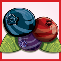 Пиво Fruit Expo: 3 Berries Sour