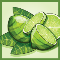 Пиво Fruit Expo: Berliner Weisse With Lime