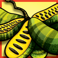 Пиво Fruit Expo: Paw Paw