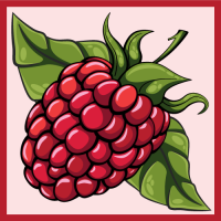 Пиво Fruit Expo: Raspberry Sour