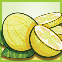 Пиво Fruit Expo: White Guava Sour