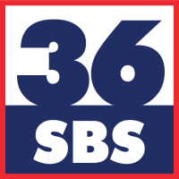 Пиво Small Batch Series : 36 Hazy Pale Kveik