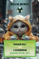 Пиво Соленый опыт: Гозе с крыжовником