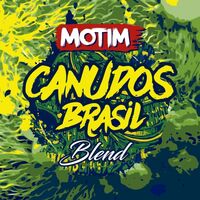 Пиво Canudos Brasil - BLEND Пиво Canudos Brasil - BLEND