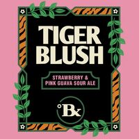 Пиво Tiger Blush