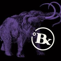 Пиво Purple Mammoth