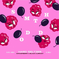 Пиво Smth Odd: Hard Seltzer w/ Raspberry & Black Currant