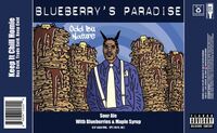 Пиво Blueberry’s Paradise Пиво Blueberry’s Paradise