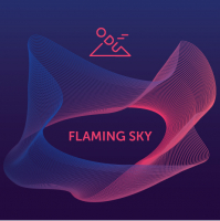 Пиво Flaming Sky