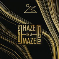 Пиво Haze In A Maze