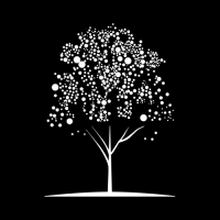 Пиво Wild At Heart #BJ-2015