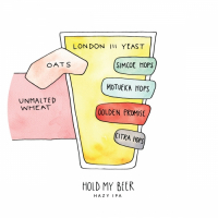 Пиво Hold My Beer Пиво Hold My Beer