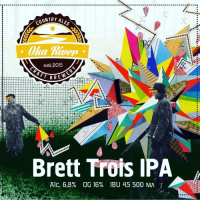 Пиво Brett Trois IPA