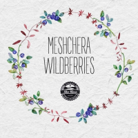 Пиво Meshchera Wildberries