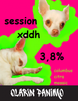 Пиво Session xddh
