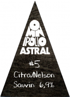 Пиво Astral Batch #5 - Citra & Nelson Sauvin