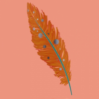 Пиво Bianca Guava Lychee Passionfruit Lassi Gose