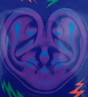 Пиво Crisp Crisp Crisp