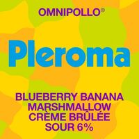 Пиво Pleroma Blueberry Banana Marshmallow Crème Brûlée Sour