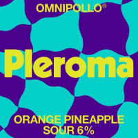 Пиво Pleroma Orange Pineapple Crème Brûlée Пиво Pleroma Orange Pineapple Crème Brûlée