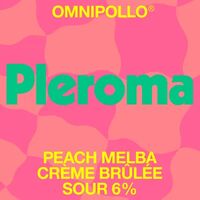 Пиво Pleroma Peach Melba Crème Brûlée Пиво Pleroma Peach Melba Crème Brûlée