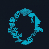 Пиво Zodiak Multiverse