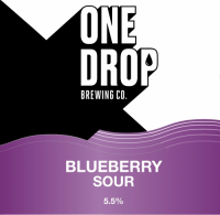 Пиво Blueberry Sour