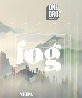Пиво Fog NEIPA