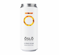 Пиво Citrus Sour