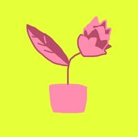 Пиво Бест Кост Амарилло