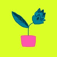 Пиво Бест Кост Мегацитра