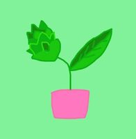 Пиво Бест Кост