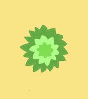 Пиво Хейзер