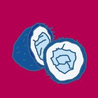 Пиво Коколодер