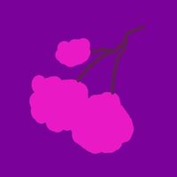 Пиво Волчья Ягода (Ч-Е-В-ЧР)