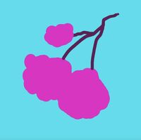 Пиво Волчья Ягода с Малиной