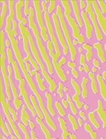 Пиво FAKE PLANTS W/ Blueberry, Raspberry & Bergamot