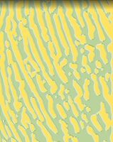 Пиво FAKE PLANTS W/ Kiwi, Lime & Lemongrass