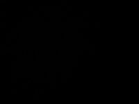 Пиво First Weizen