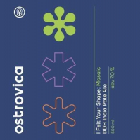 Пиво I Felt Your Shape: Mosaic