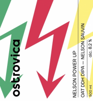 Пиво NELSON POWER UP