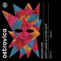 Пиво SKOOKIN SON