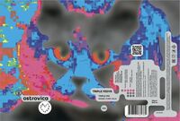 Пиво TRIPLE FEDYA