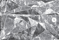 Пиво Triple Mylar Bags