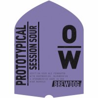 Пиво Prototypical Session Sour