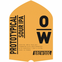 Пиво Prototypical Sour IPA