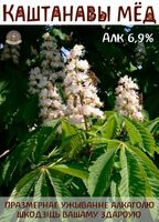 Пиво Kashtanavy` Myod (Каштанавы мёд)