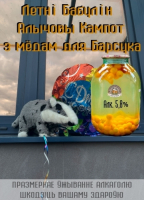 Пиво Летнi Бабулiн Алычовы Кампот з мёдам для Барсука